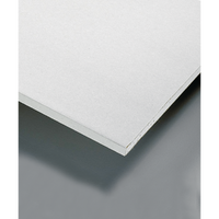 SpanShield Plasterboard